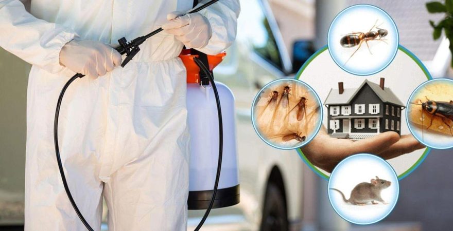 Mut Böcek İlaçlama