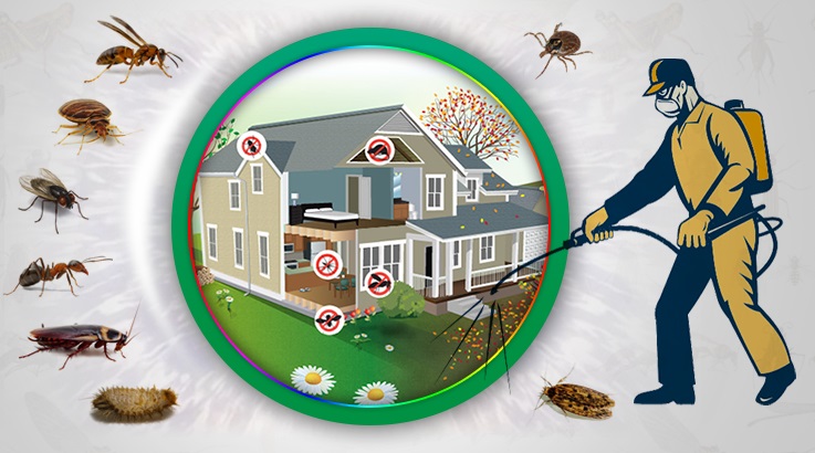 Mut Böcek İlaçlama