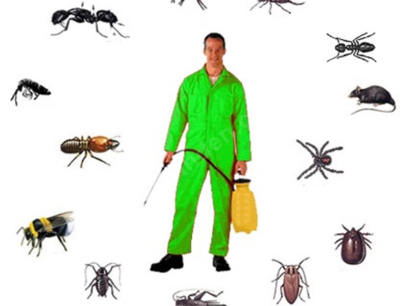 Mut Böcek İlaçlama